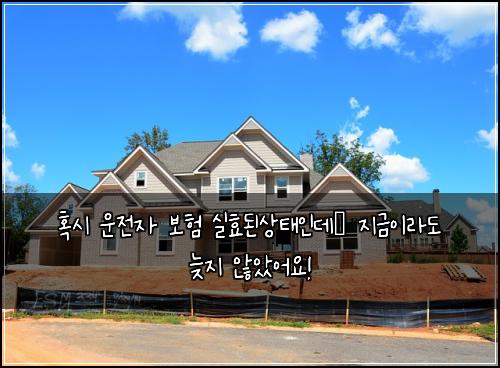  혹시 운전자 보험 실효된상태인데… 지금이라도 늦지 않았어요!
