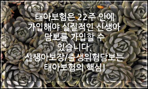 오늘의 이미지