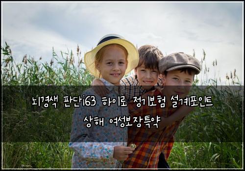 뇌경색 판단i63 하이로 정기보험 설계포인트  상해 여성보장특약