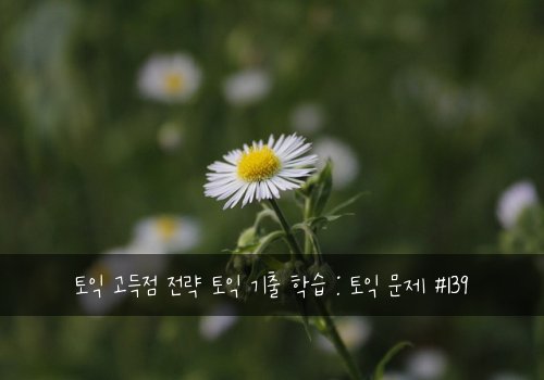 토익 고득점 전략 토익 기출 학습 : 토익 문제 #139