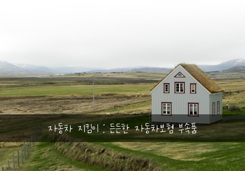 자동차 지킴이 : 든든한 자동차보험 부속품