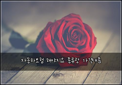 자동차보험 해야지요  종류랑 가격대좀