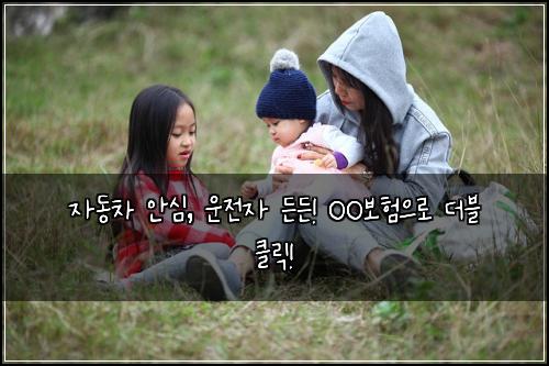 자동차 안심, 운전자 든든! OO보험으로 더블 클릭!