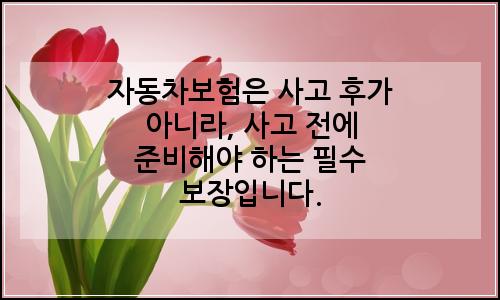 오늘의 이미지