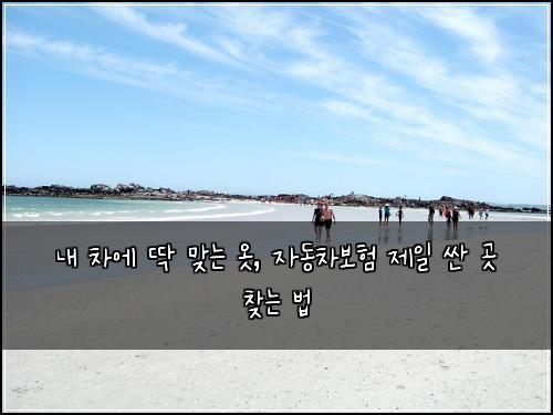  내 차에 딱 맞는 옷, 자동차보험 제일 싼 곳 찾는 법