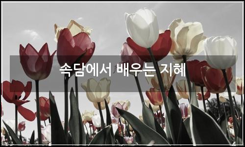 오늘의 이미지