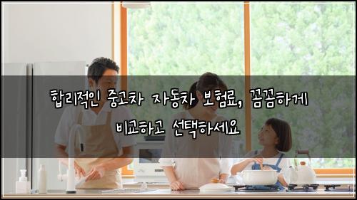  합리적인 중고차 자동차 보험료, 꼼꼼하게 비교하고 선택하세요