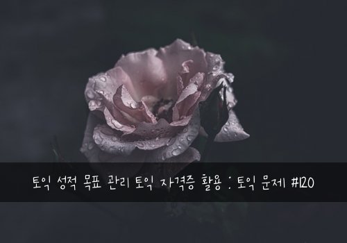 토익 성적 목표 관리 토익 자격증 활용 : 토익 문제 #120