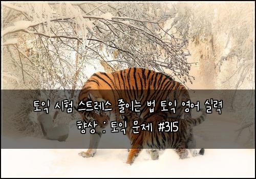 토익 시험 스트레스 줄이는 법 토익 영어 실력 향상 : 토익 문제 #315