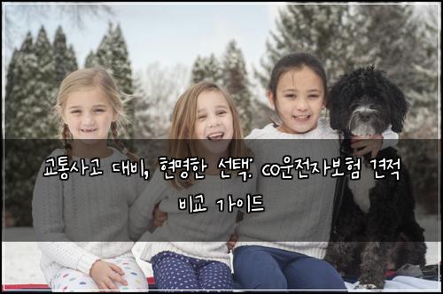  교통사고 대비, 현명한 선택: co운전자보험 견적 비교 가이드