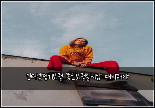 인터넷정기보험 종신보험일시납 대비해야