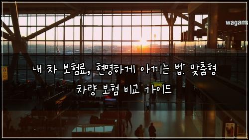 내 차 보험료, 현명하게 아끼는 법: 맞춤형 차량 보험 비교 가이드