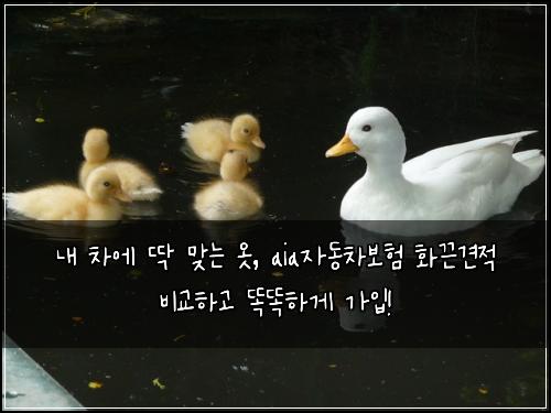  내 차에 딱 맞는 옷, aia자동차보험 화끈견적 비교하고 똑똑하게 가입!