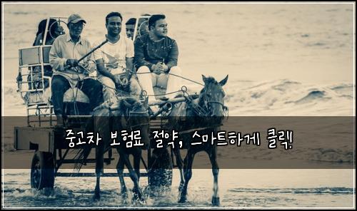 중고차 보험료 절약, 스마트하게 클릭!